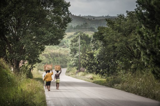 Madagascar Wildlife Photography Holiday Ladies carrying baskets on their heads near Antananarivo Antananarivo Province Eastern Madagascar
