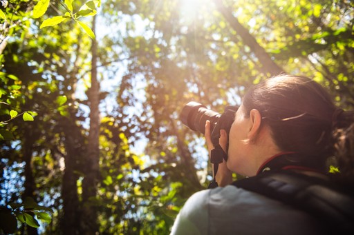 Madagascar Wildlife Photography Holiday Photographer in Andasibe on a travel and wildlife photography holiday in Madagascar