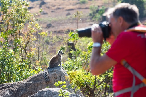 Madagascar Wildlife Photography Holiday Photographer on a Madagascar travel and wildlife photography holiday at Anja Ambalavao 2