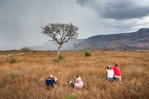 Madagascar Wildlife Photography Holiday Photographer on a Madagascar travel and wildlife photography holiday at Anja Ambalavao 5