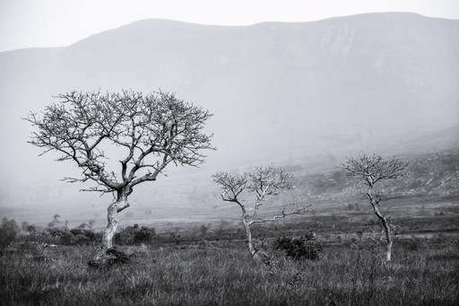 Madagascar Wildlife Photography Holiday Stormy landscape Ambalavao Haute Matsiatra Region Madagascar