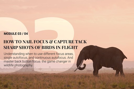 B M3 L1 Focus Areas 01 00 10 23