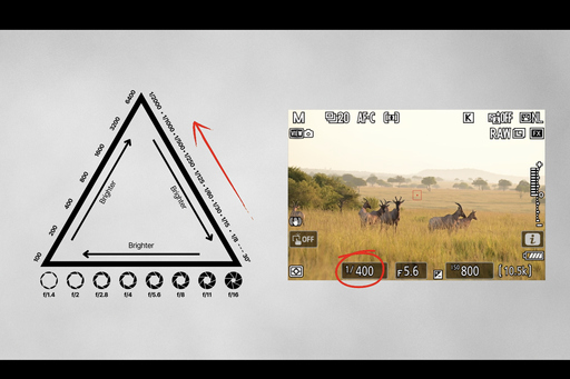 Screenshot 2025 06 18 at 09 58 24