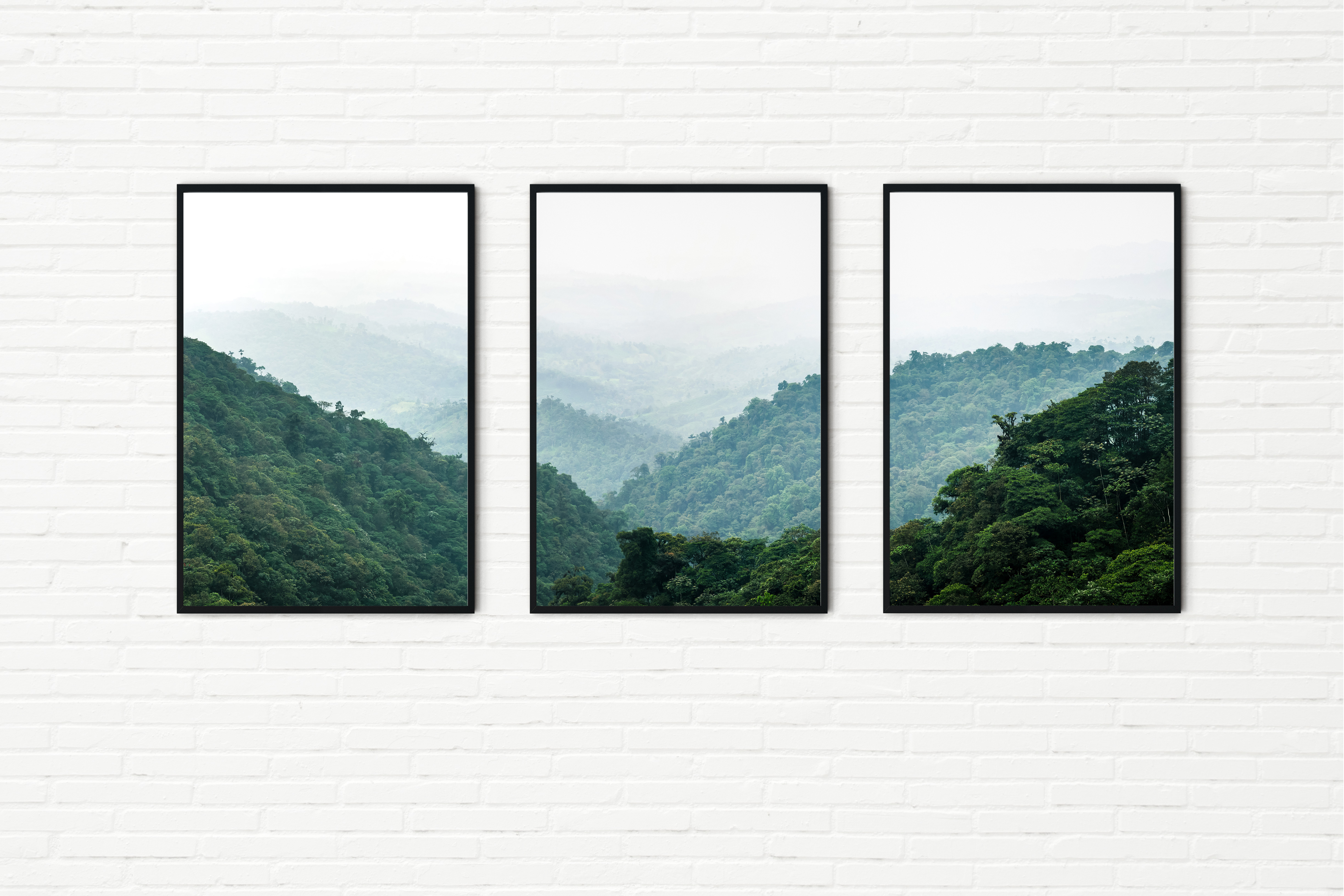 Amazon Rainforest in the Mist