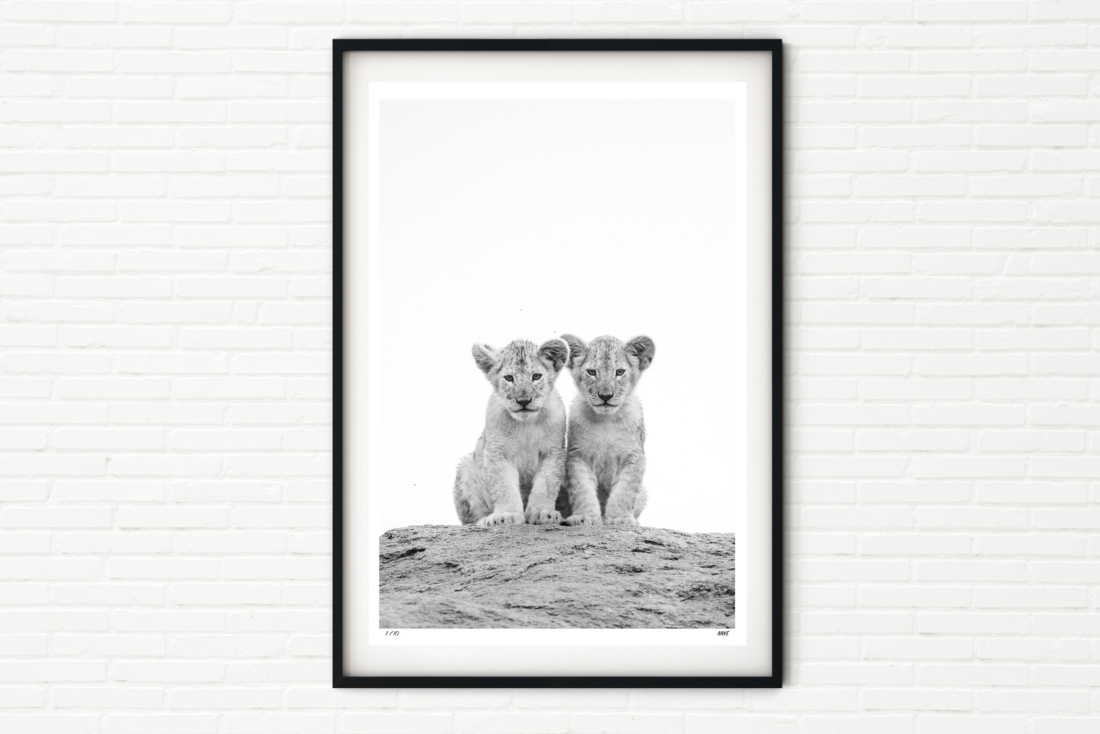 Double Trouble - Lion Cubs in the Serengeti - Black and White