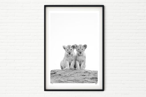 Double Trouble - Lion Cubs in the Serengeti - Black and White