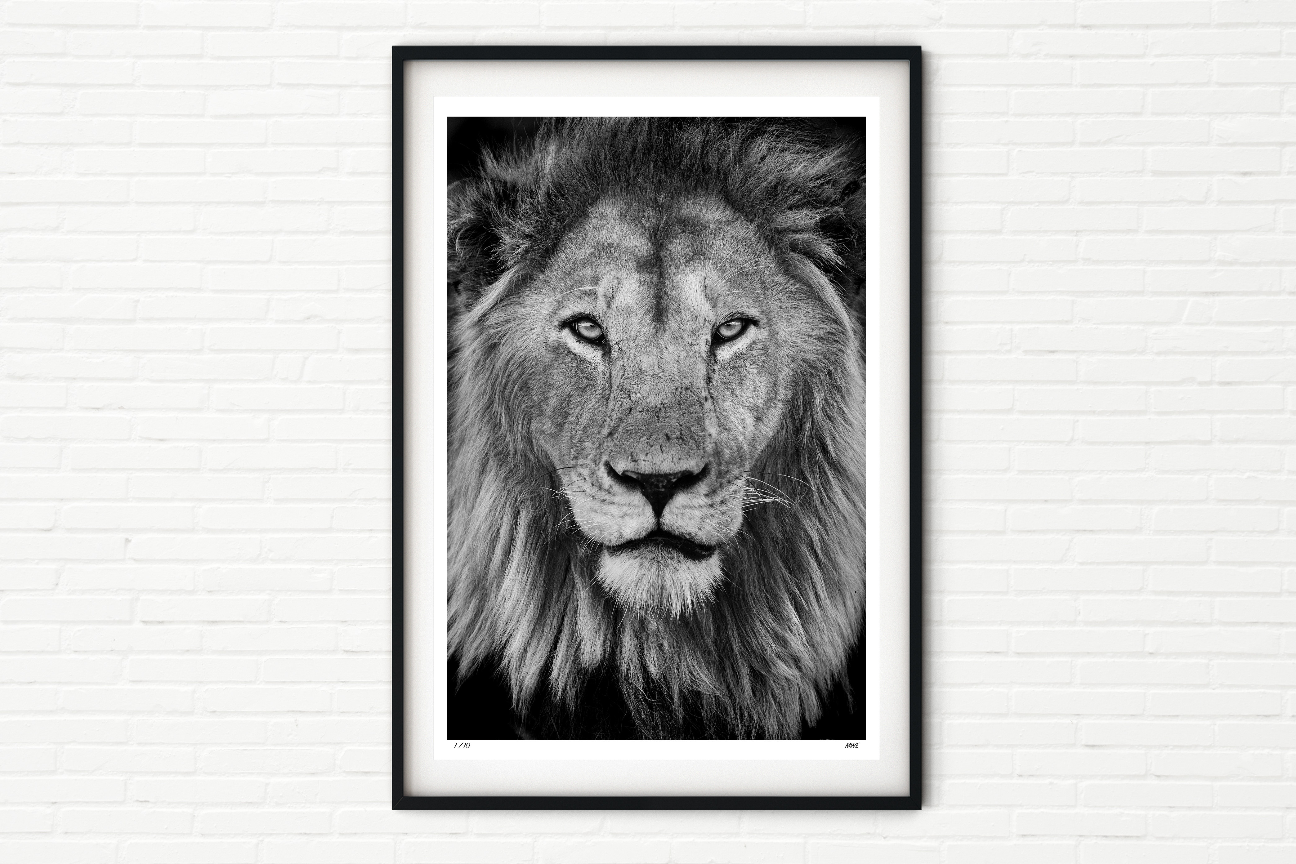 King - Male Lion Portrait - Black and White