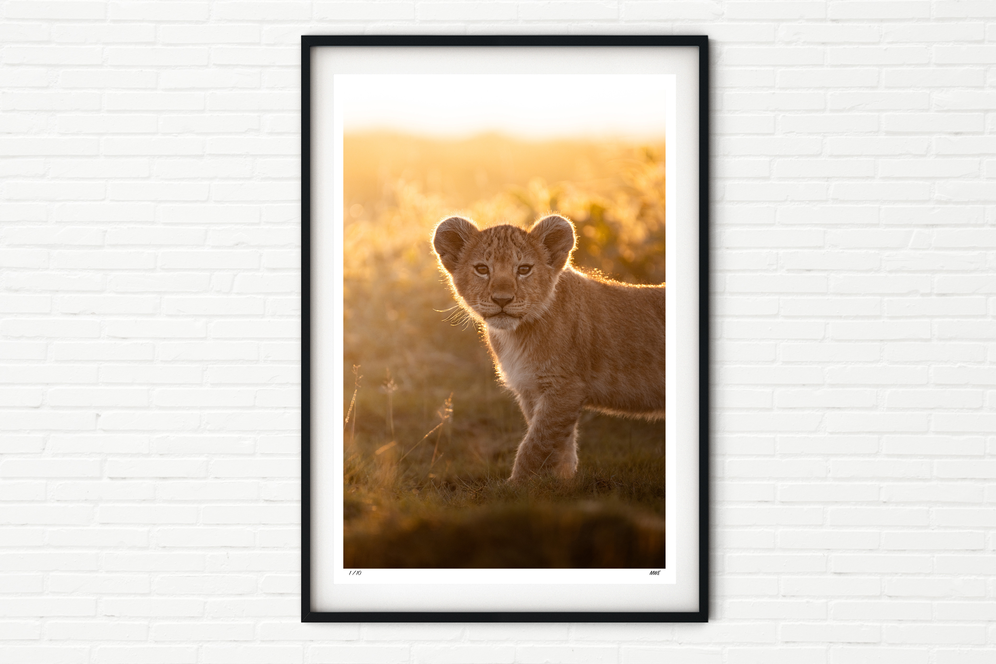 Lion Cub in the Serengeti