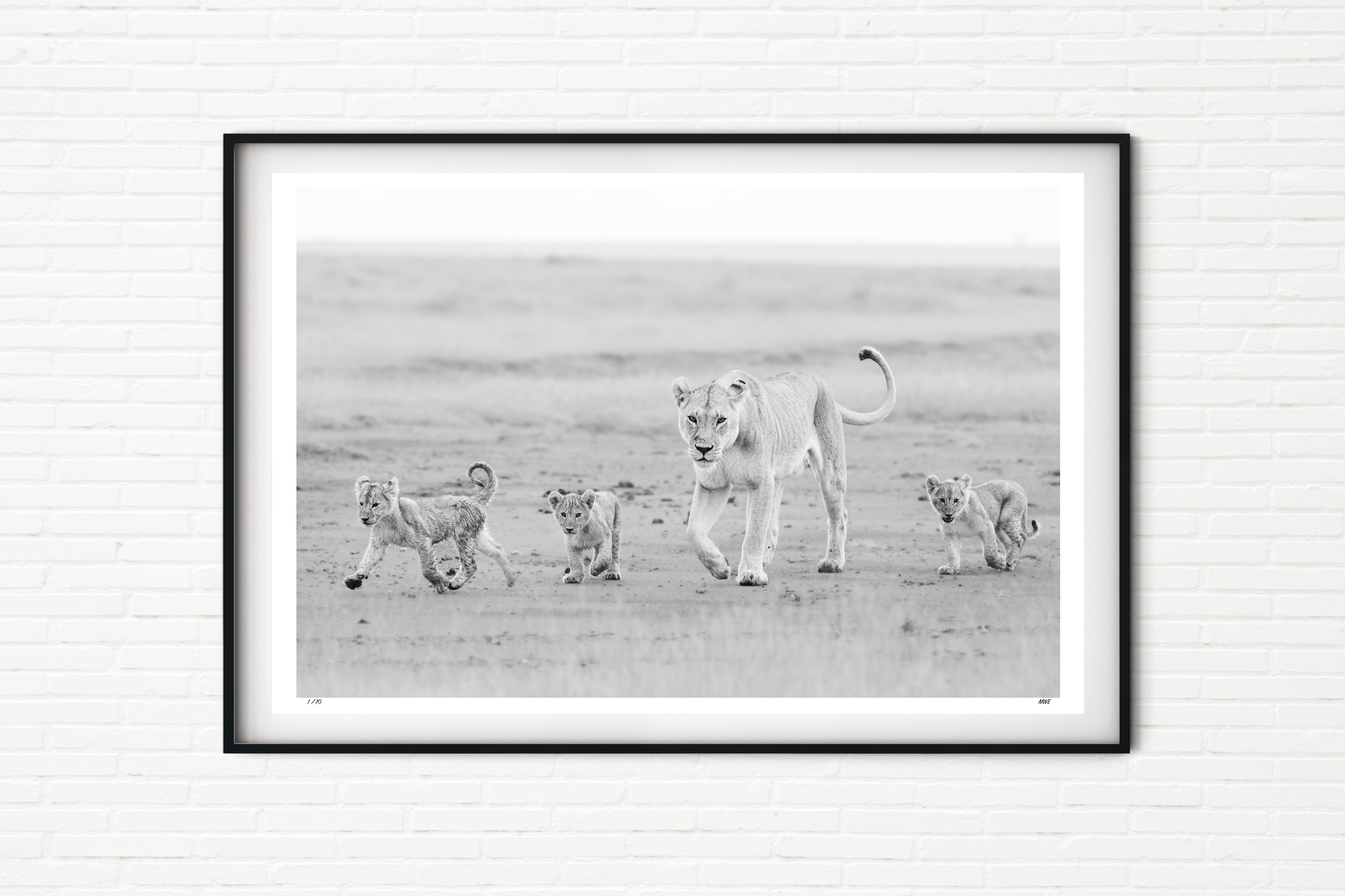 Lioness and Lion Cubs - Black and White