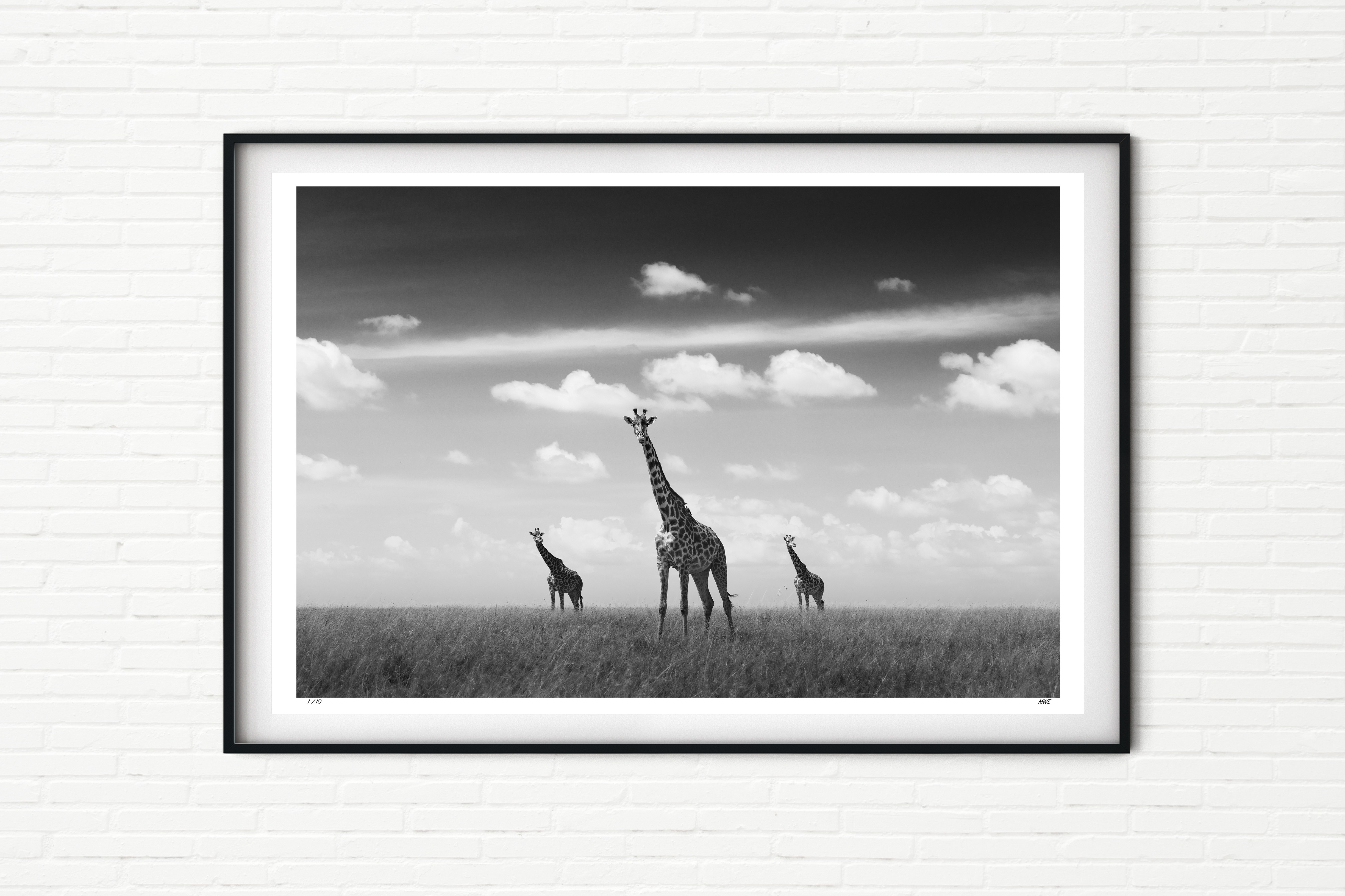 Tower - Giraffe in Maasai Mara - Black and White