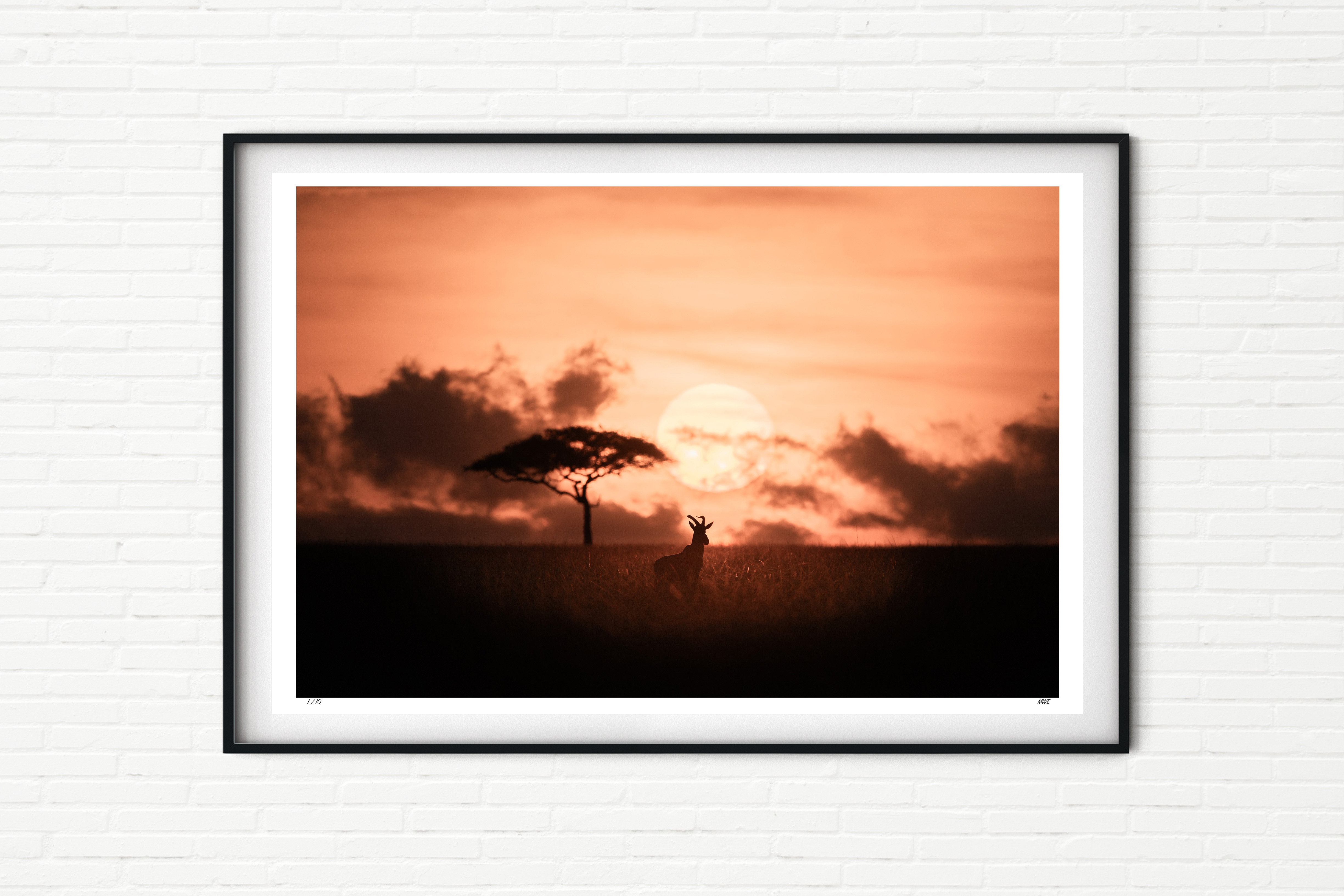 Nyamera Fire - Topi at Sunset in Maasai Mara