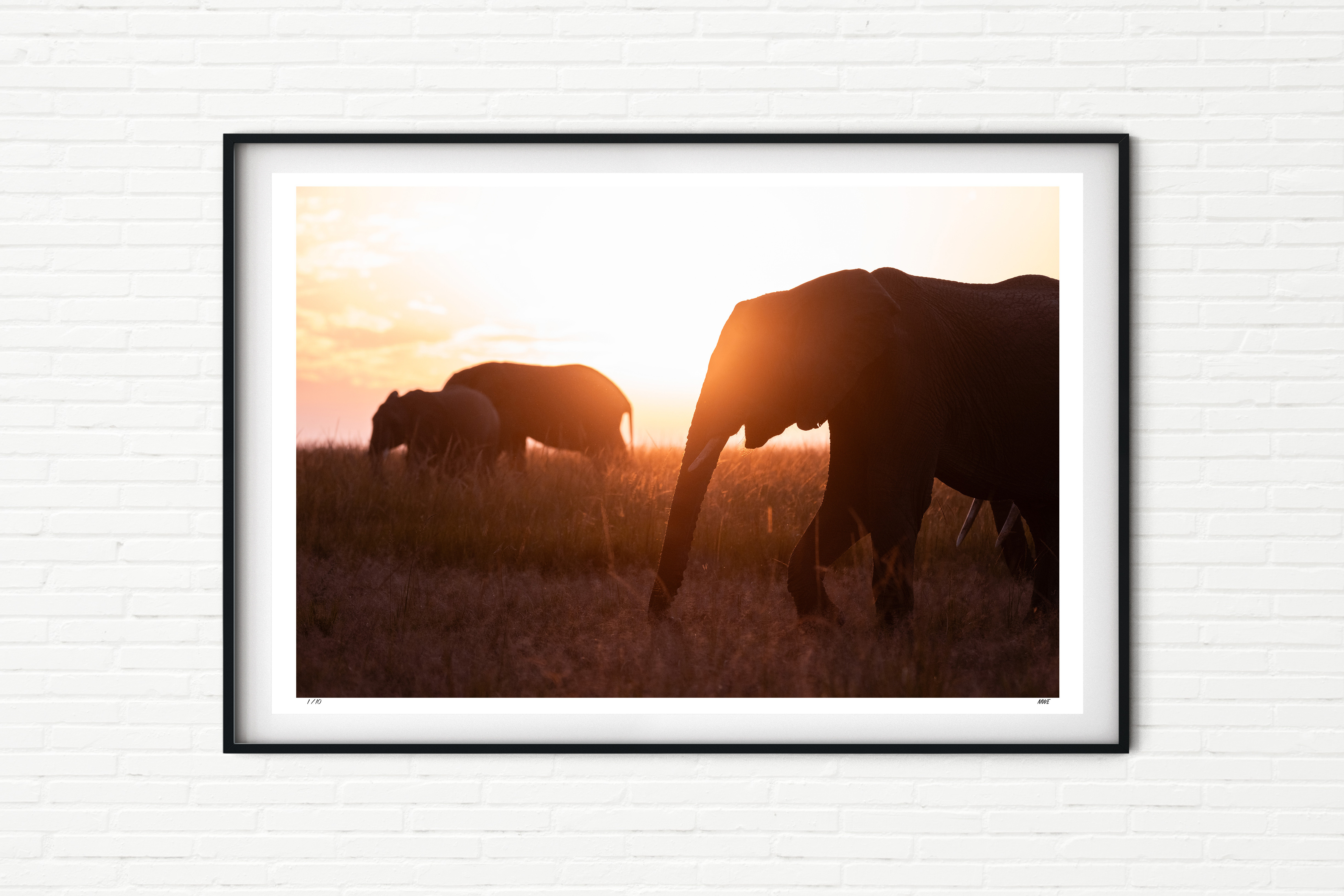 Elephants in Mara North at Sunset